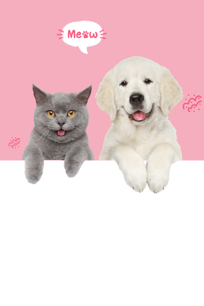bệnh về gan ở thú cưng