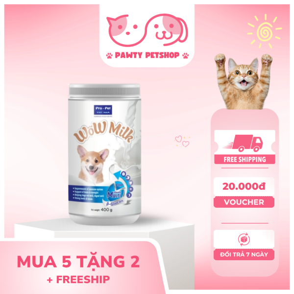 Cách Chọn Thức Ăn Cho Mèo Kén Ăn: Bí Quyết Biến Giờ Ăn Thành Niềm Vui