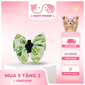 nơ đeo cổ
