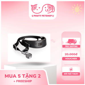 Vòng cổ định vị cho mèo
