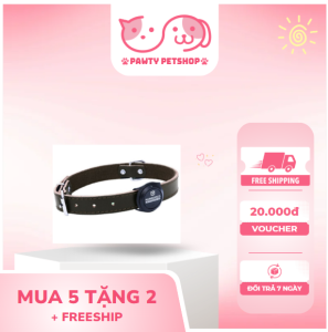 Vòng đeo cổ cho chó becgie