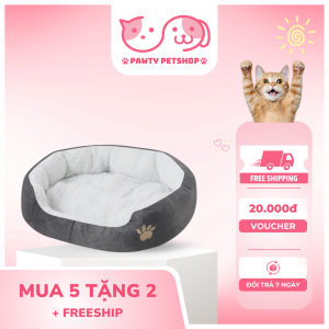 ĐẸM MÈO