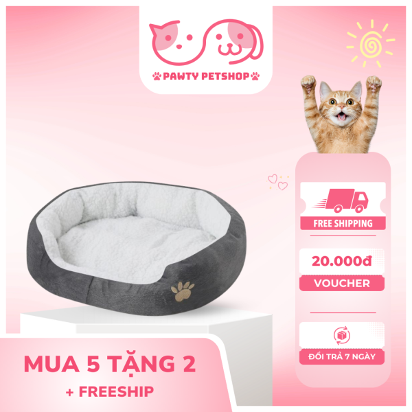 ĐẸM MÈO
