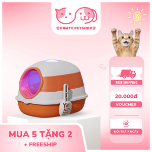 Nhà vệ sinh cho mèo