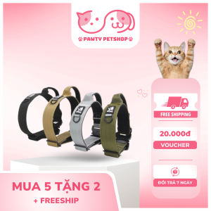 Đeo cổ áo và dây xích cho chó lớn và trung bình