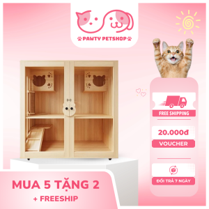 chăm sóc chó poodle mang thai