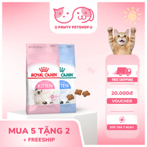 hạt cho mèo nhỏ