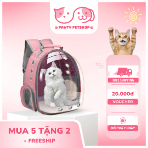 Phụ kiện ra ngoài & vận chuyển