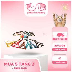 Set Dây Dắt Kèm Vòng Yếm Vải In Họa Tiết Cho Chó Mèo