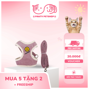 cách đeo dây dắt mèo