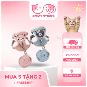Cách đeo dây dắt mèo