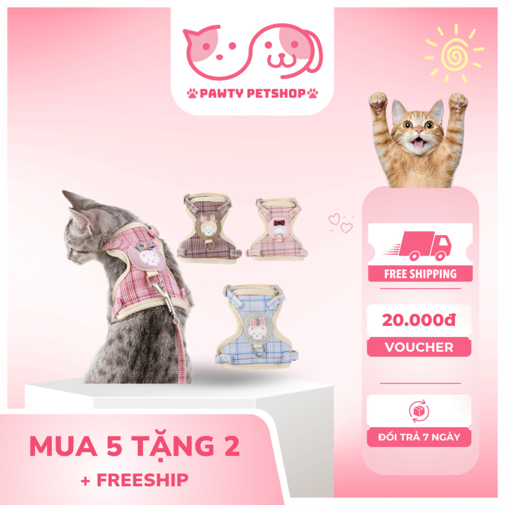Cách đeo dây dắt mèo