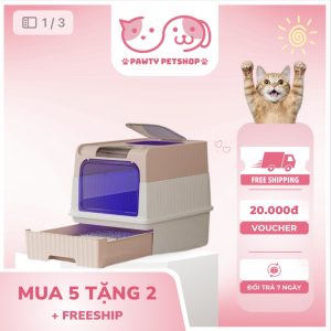 nhà vệ sinh cho chó