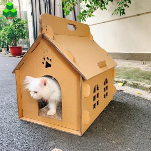 đồ chơi carton mèo
