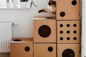 Làm đồ chơi cho mèo bằng thùng carton
